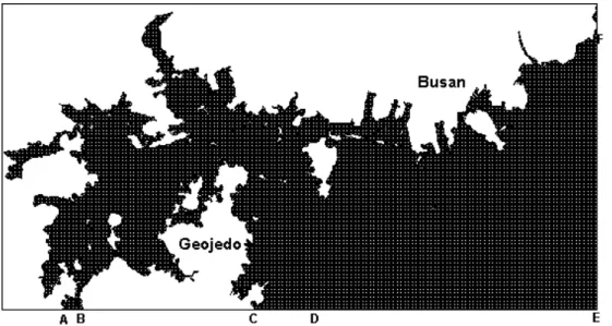 FIGURE  1.  Grid  system(200m)  at  the  study  area 자료  및  방법 해수의  유동을  구하기  위해  사용된  유동모 델에서  격자간격은  동쪽  및  북쪽으로  각각  200m인  등방격자를  사용하였다