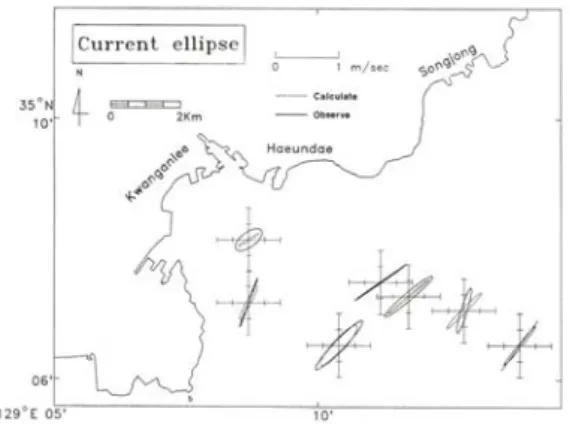 FIGURE  6.  Tidal  current  in  flood  flow