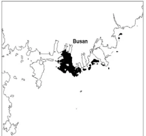 FIGURE  9.  Distribution  of  suspended  solid(SS)  at  the  study  area
