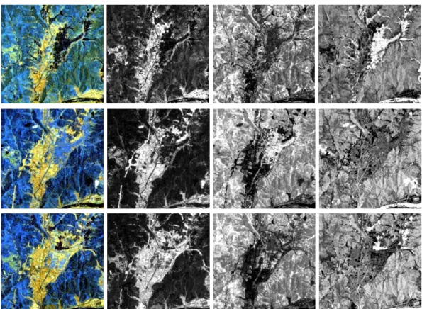 FIGURE  3.  Classification  results  of  Landsat  TM  images 영상에서  도시지역과  기타  지역의  경계를  이