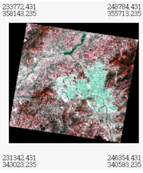 FIGURE  1.  The  JERS-1  OPS  imagery  for  the  study    area  (3.  28.  1993)