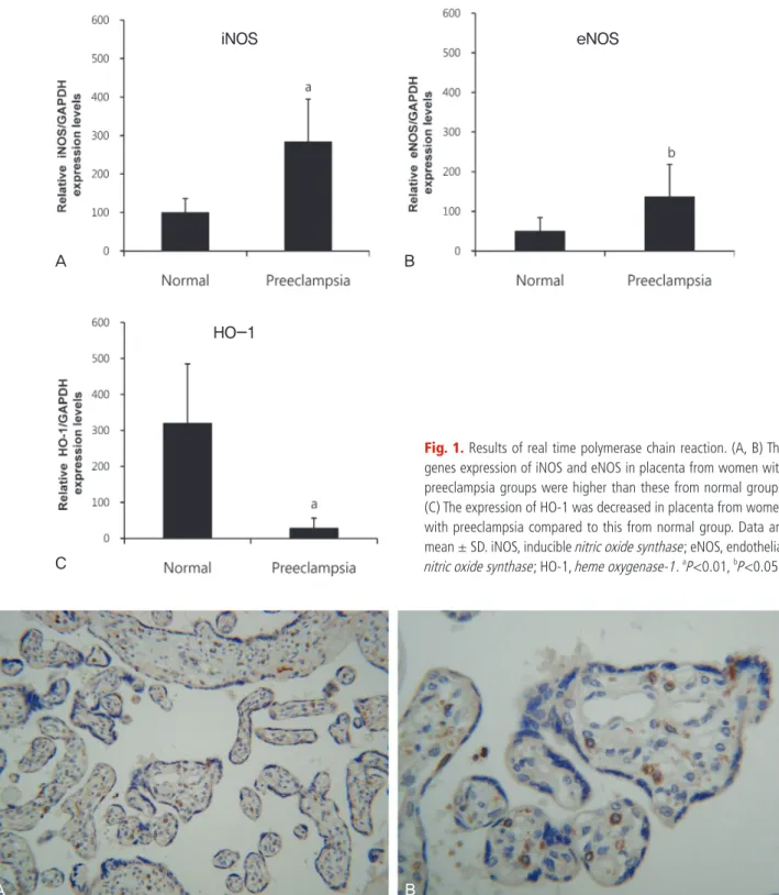 Fig. 1. Results of real time polymerase chain reaction. (A, B) The  genes expression of iNOS and eNOS in placenta from women with  preeclampsia groups were higher than these from normal groups