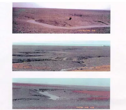 FIGURE  8.  Terrestrial  photo  of  Class  I  area(mud  flat) 도  해면이  가장  낮을  때는  물이  모두  빠지고  노출된다