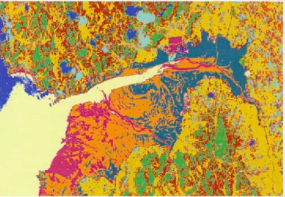 FIGURE  1.  Classification  image  of  Gomso-Bay  tidal  flat  and  its  land  cover  of  surrounding  area 