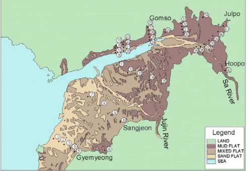 FIGURE  2.  Deposits  sampling  points  on  the  tidal  flat  of  Gomso-Bay