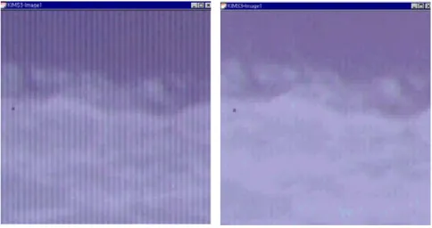 FIGURE  1.  Result  of  even-odd  column  correction(left  :  raw  image,  right  :  corrected  image).