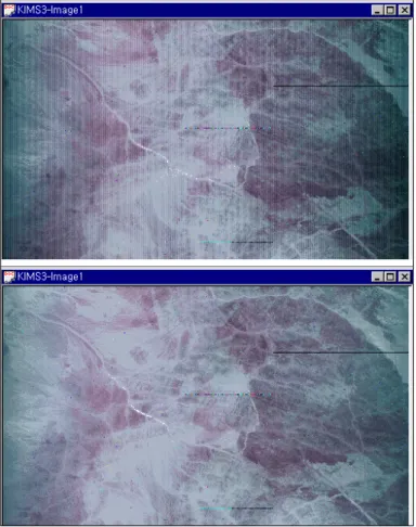 FIGURE  3.  Result  of  illumination  fall-off  correction  (upper  :  original  image,  lower  :  corrected  image)