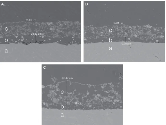 Fig. 2. SEM photographs analysis of metal-ceramic specimen (T1, T2, T3 group). (A) T1 group, (B) T2 group, (C) T3  group