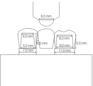 Fig. 1. Dimension of metal jig and specimen, indenter.