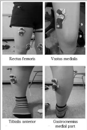Fig. 2. Lower extremity muscles2. 연구 설계본 연구에서 모든 대상자는 하이힐,  유선형 신발, 실내화 세 종류의 신발을 신고 한 번씩 측정하였다