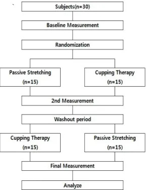 Fig. 1. Study design