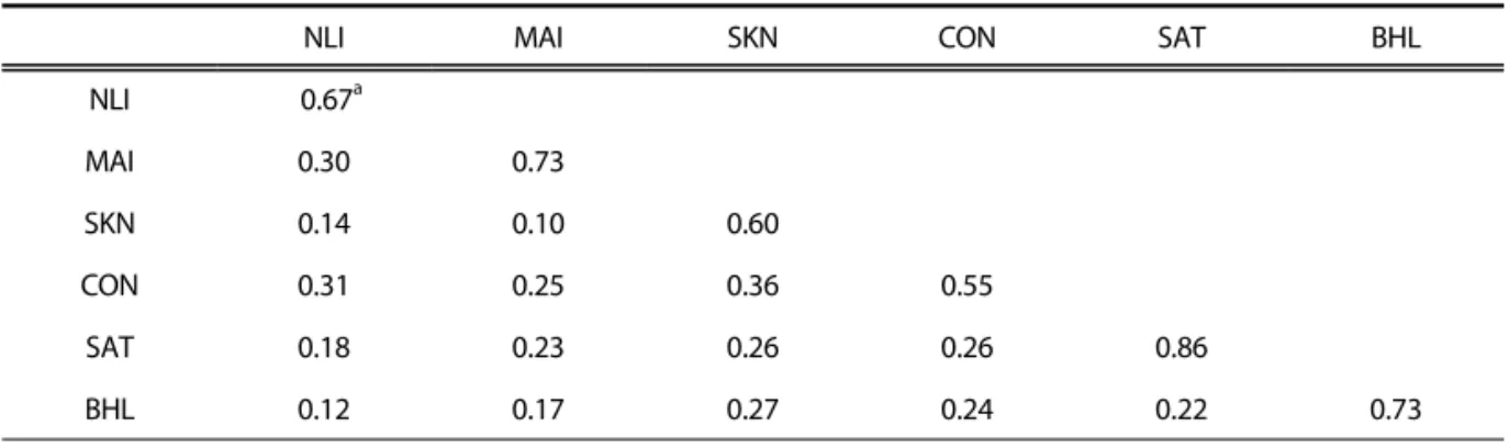 Table 2. Confirmatory factor analysis and discriminant validity