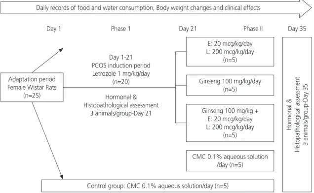 Fig. 1. Experimental model of the study. PCOS, polycystic ovarian syndrome; CMC, carboxymethyl cellulose.