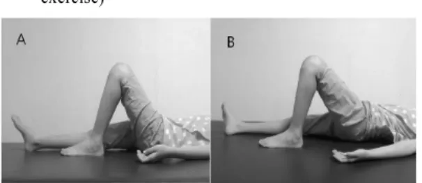 Fig 5. Modified quadruped position with lower extremity lift 