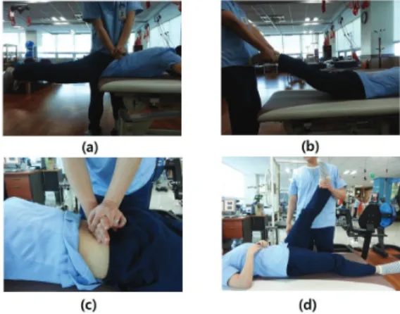 Fig. 1. Lumbar instability tests