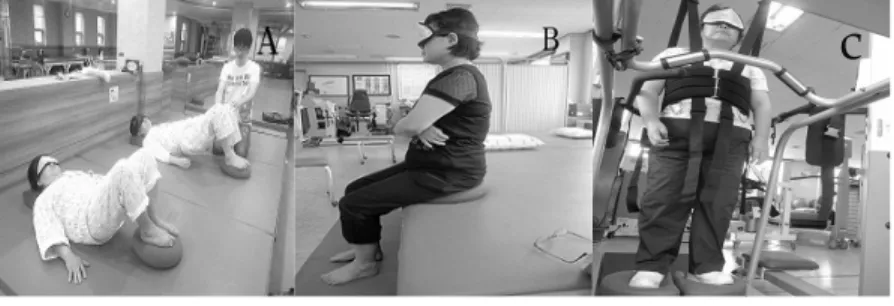Fig. 1. The Balance training with visual cue deprivation of each weekly