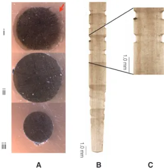 Fig 2. Cross section of FRC-posts (magnification, ×100) (A) Snowpost, (B) Macro-Lock Illusion XRO post, (C) FRC Poestec  Plus