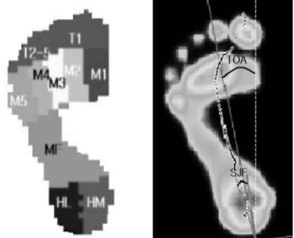 Fig. 1. 10 domain of foot plantar pressure and toe out angle(TOA) and subtalar joint flexibility (SJF)