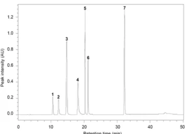 Fig.  2.  Typical  HPLC  chromatogram  of  phenolic  acid  standards. 