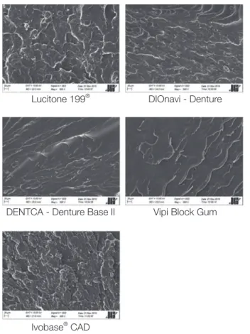 Fig. 5. Scanning electron microscope (SEM) image of the  surfaces. Magnifications of 1000×.