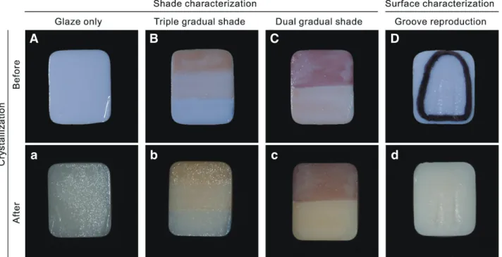 Fig. 2. Experimental shade and surface characterization on lithium disilicate (LS2) blocks