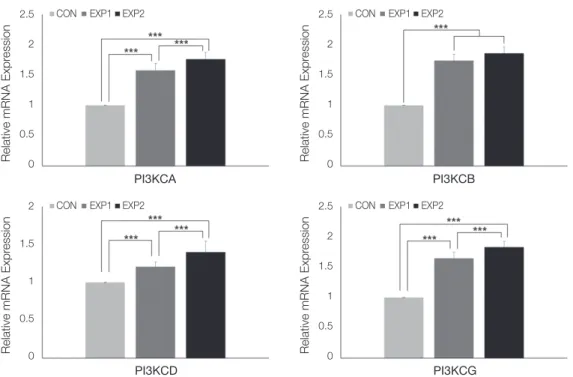 Fig. 4. Real-time PCR analysis results of PI3K genes (PI3KCA, PI3KCB, PI3KCD, PI3KCG)