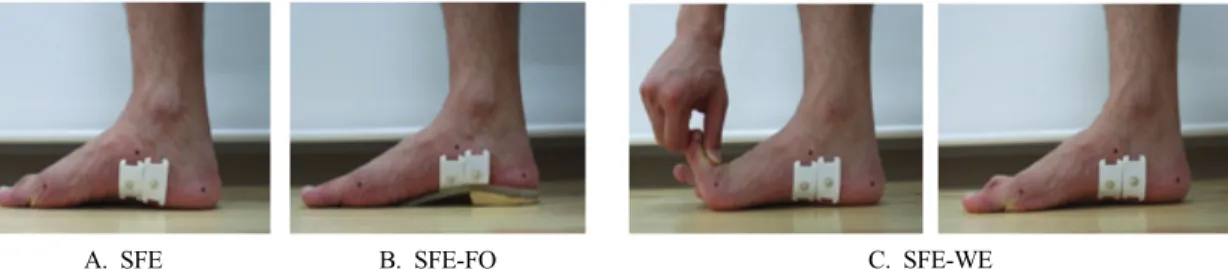 Fig. 1. Exercise type
