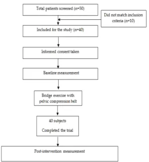 Table 2. Pre- and Post-intervention electromyography values of subjects with and without pelvic belt  (values are presented as means (standard deviations)) (unit: %RVC) (n=40)