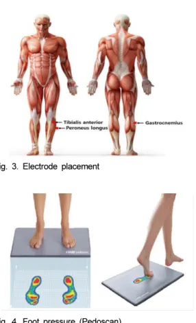 Fig. 2. Muscle activity (BTS freeEMG)