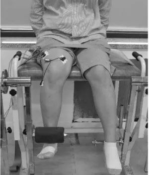 Fig  1.  Maximal  isometric  knee  extension수축을  통해  환자에게  되먹이기  신호를  전달해  줄 수  있으며,  근  활성  패턴에  대한  즉각적인  정보를 전달해  주기  때문에  무릎넙다리통증증후군  환자에게 발생하는 무릎뼈의 가쪽끌림을 수정하여 안쪽빗넓은근을  선택적으로  강화시킬  수  있다고  하였다(Dursun  등,  2001).이와  같이 여러 선행연구를 통해 무릎관절의 안정성을  높이기  위해  