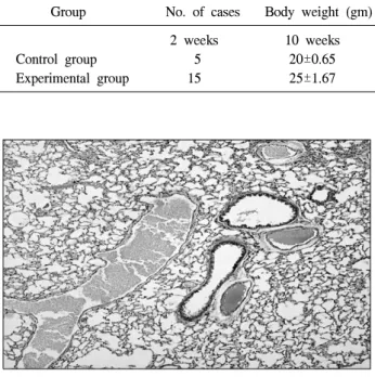 Fig. 3. Microscopic features of the experimental group mouse  lung. H/E stain of the paraffin-embedded sections