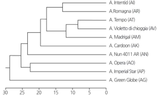 Fig. 5. Hierarchical dendrogram of FT-IR data from artichoke leaf. AG, Green Globe; AI, Intentid; AK, Cardoon; AM, Madrigal; 