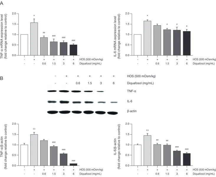 Fig. 2. Diquafosol downregulates mRNA and protein expression of tumor necrosis factor-α (TNF-α) and interleukin-6 (IL-6) in human  corneal epithelial cells