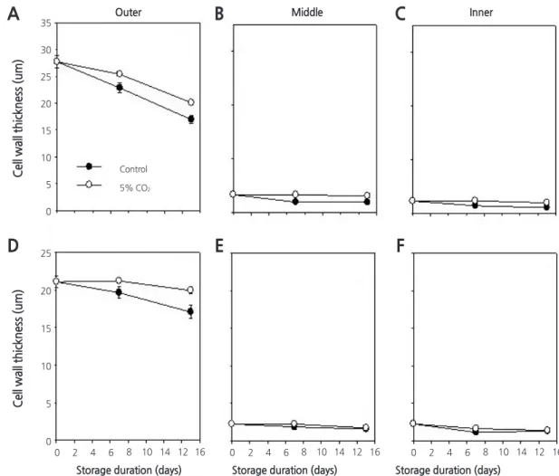 Fig. 9. Effect of continuous application of CO 2  on cell wall thickness in the outer (A, D), middle (B, E), and inner (C, F) cortex in 
