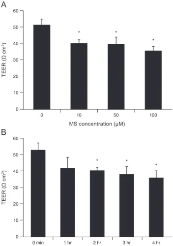 Fig. 2. Effect of minoxidil sulfate (MS) on the transepithelial  electrical resistance (TEER) of the trabecular meshwork cell  monolayer