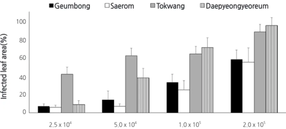 Fig. 4. Effects of inoculum concentration on the occurrence of black spot on four radish cultivars