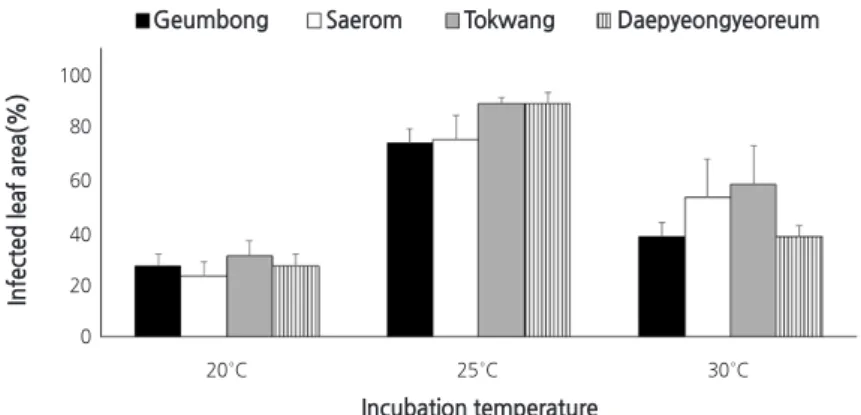Fig. 5. Effects of incubation temperature on the development of black spot on four radish cultivars
