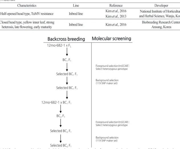 Fig. 1. MAB scheme used in this study. Molecular screening using the foreground selection marker  trsSCAR and a background  selection marker set of 119 SNP markers polymorphic between the donor and recipient parents was performed in each  backcross generat