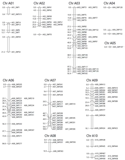 Fig. 3. Linkage map of SNPs constructed using the BC 1 F 1  genotyping result. The SNP probes are named on the right side of the  map