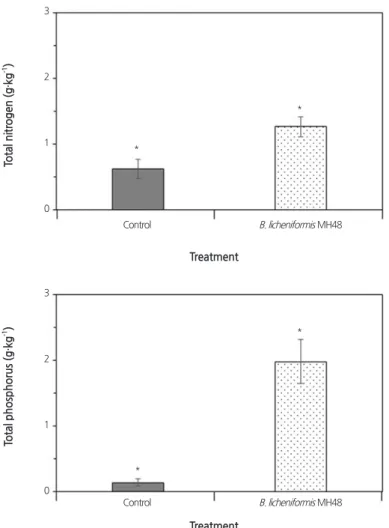 Fig. 3. Effect of inoculation with  B. licheniformis MH48 on total nitrogen (A) and total phosphorus (B) content in soil