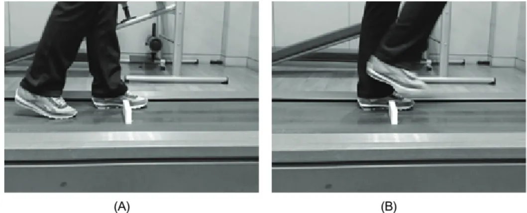 Fig. 2. Treadmill gait training with obstacles crossing