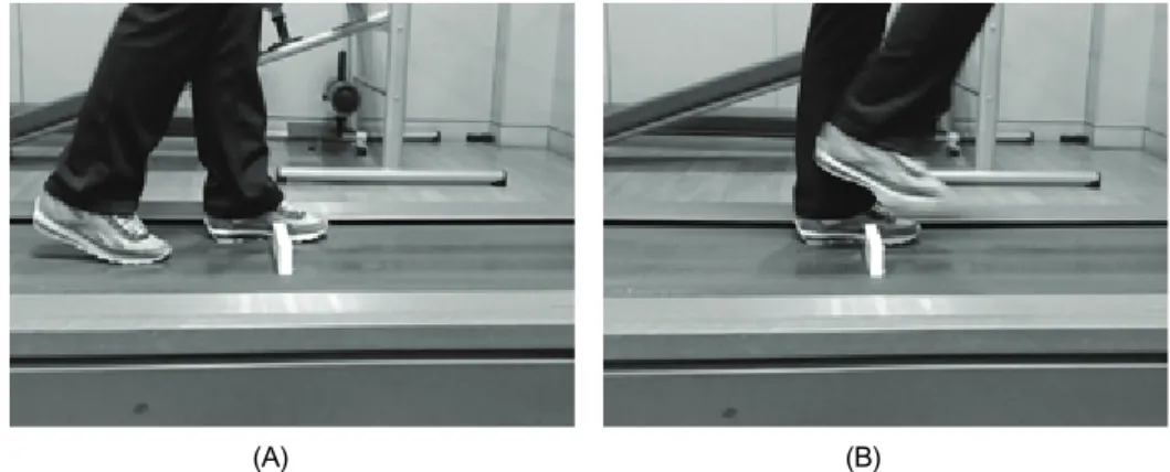 Fig. 2. Treadmill gait training with obstacles crossing