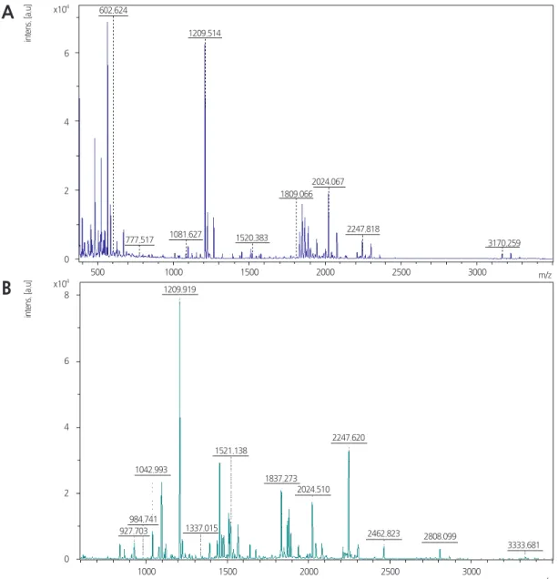 Fig. 3. Matrix-assisted laser desorption/ionization–time of flight (MALDI-TOF) data of trypsin hydrolysate of  cucumber mosaic  virus coat protein (CMV-CP) from (A) Escherichia coli BL21 and (B) genetically modified pepper.