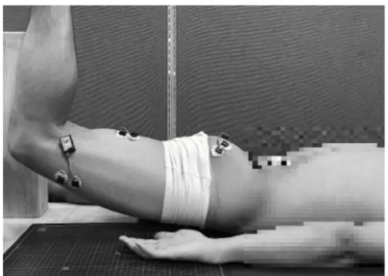 Fig. 2. Location of electromyogram (EMG) sensors