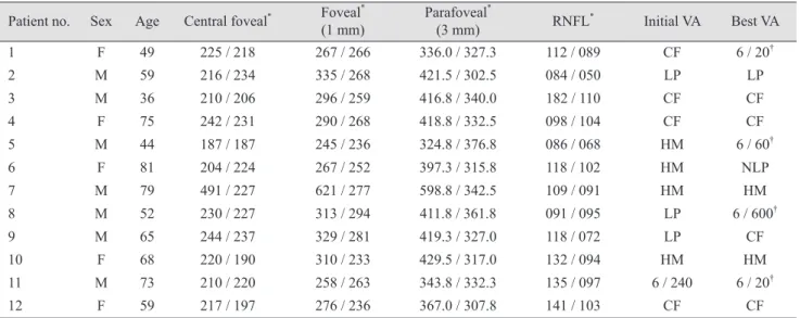 Table 2. Optical coherence tomography measurements in patients with acute central retinal artery occlusion