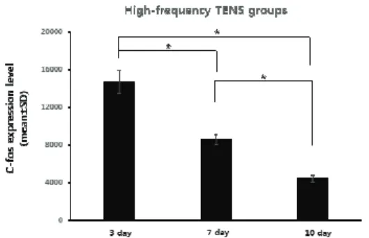 Fig. 2. C-fos expression level of high-frequency  TENS group