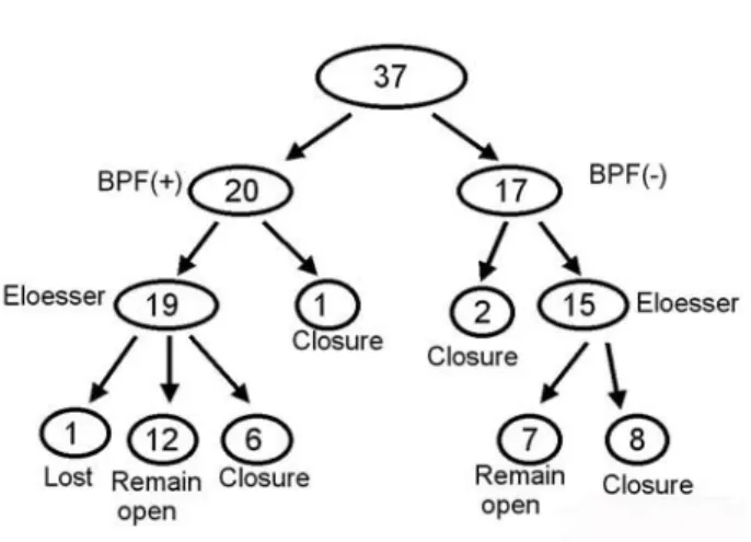 Fig.  4A.  Cox  regression  curve  of  closure  rate  ac- ac-cording  to  presence/absence  of  BPF
