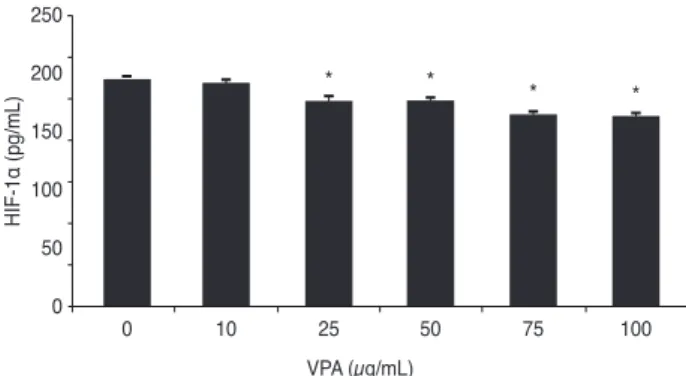 Fig. 4. Effects of increasing concentrations of valproic acid (VPA)   on vascular endothelial growth factor (VEGF) expression by  hu-man retinal Müller cells during hypoxia