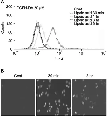 Fig. 5. Induction of reactive oxygen species production following  α-lipoic acid (α-LA) treatment of A549 cells