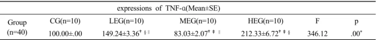 Fig. 1. The expression of TNF-α  in spinal cord in rats with osteoarthritis by Western blot analysis